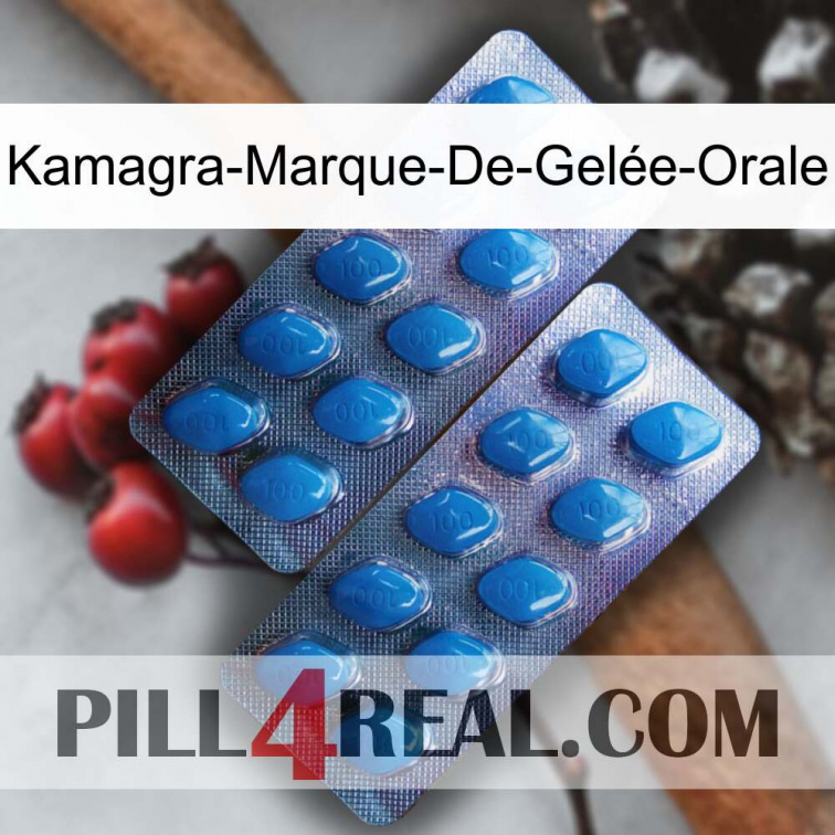 Kamagra-Marque-De-Gelée-Orale viagra2